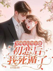 八零军婚文推荐