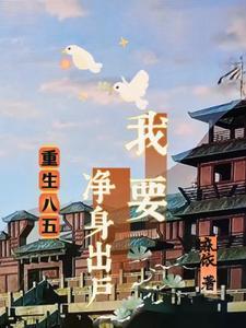 重生八五我要净身出户全文阅读