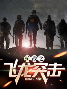 抗日之飞龙特战队