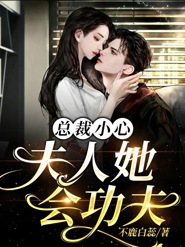 总裁小心夫人她会武功