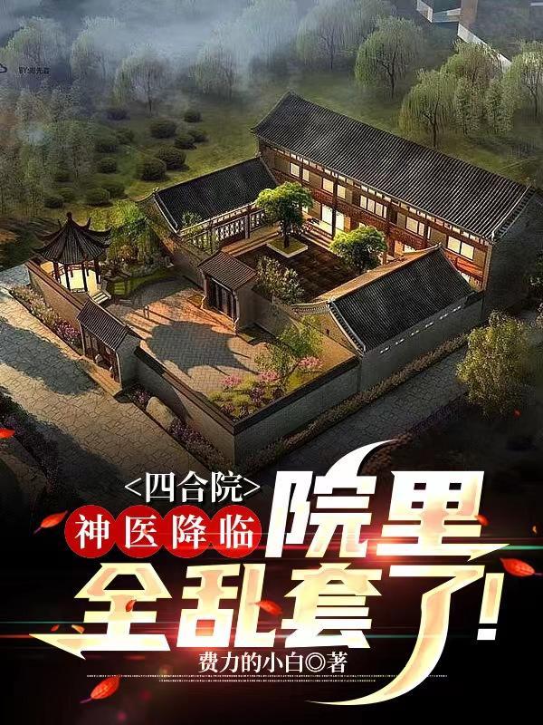 四合院保卫科长