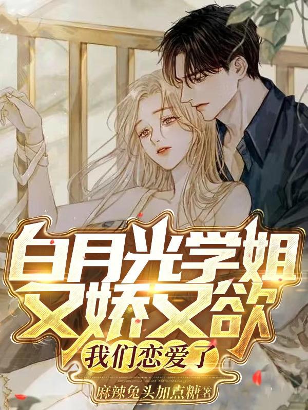电视剧住对门