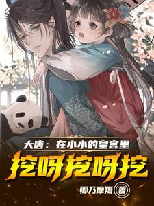 穿越大唐之藩王