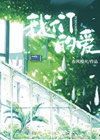我们的爱歌词完整版
