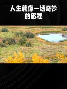 言情故事线