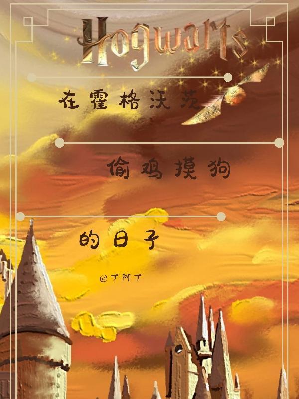 在霍格沃茨偷鸡摸狗的日子 丁阿丁