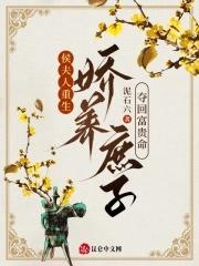 侯夫人嫁皇上的