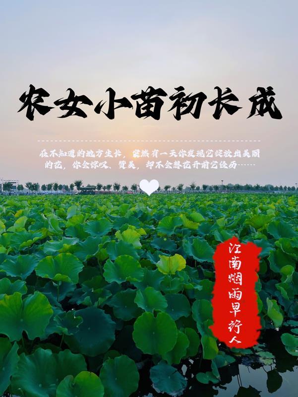 农女小娘亲免费阅读
