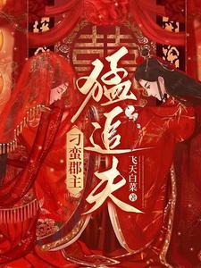 刁蛮公主追夫记