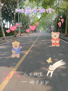 校园的情侣电影