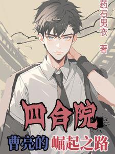 四合院 大领导