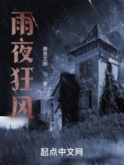 狂风暴雨的夜wanz973