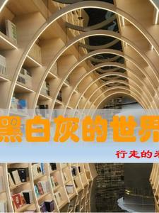 黑白灰的世界也可以很彩虹