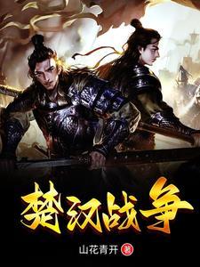 楚汉战争视频