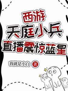 西游我天庭小兵