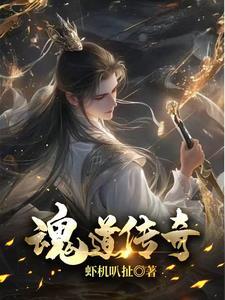 道魂怎么选