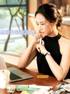 总裁的助理txt