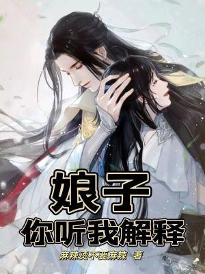 娘子你听我解释女主几个