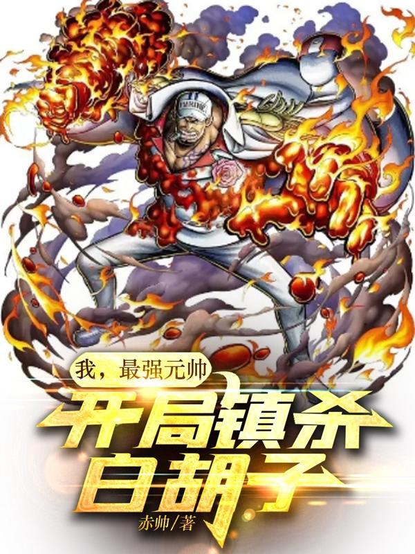 大将赤犬