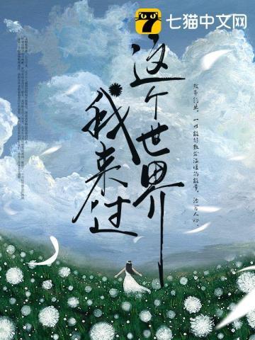 这个世界我来过文案