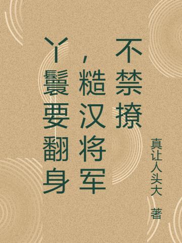 丫鬟言情
