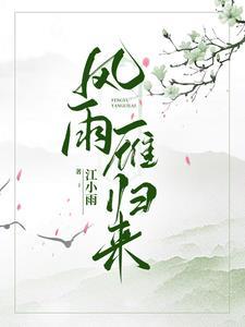 风雨雁归来全文免费阅读