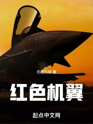机翼颜色