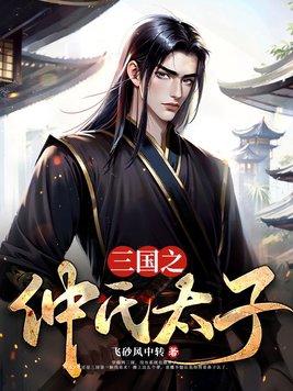 三国之仲家天子txt