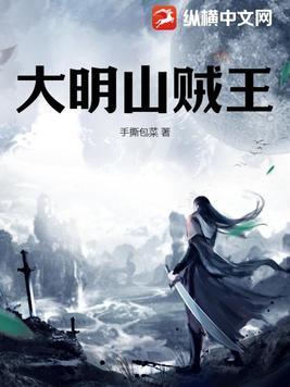 大明第一山贼