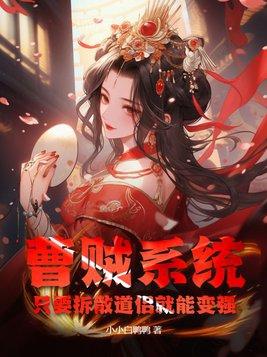 曹贼怎么样