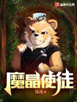 第六章魔晶石