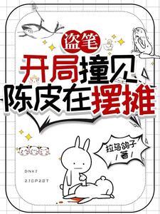 盗墓从老九门开始免费阅读