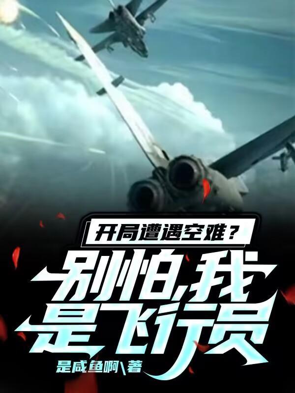 我是飞行员的