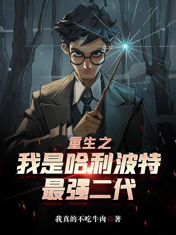 穿越哈利波特我是哈利