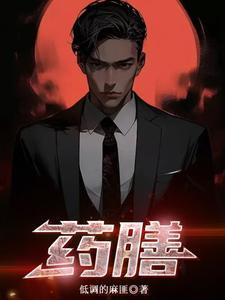 药膳鸭的做法和配方