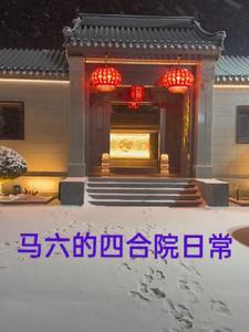 马六车子怎么样