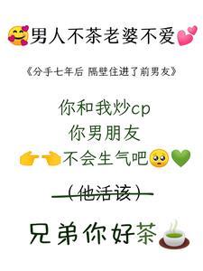 茶!追老婆就要茶txt