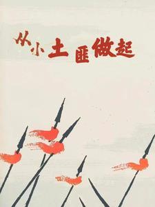 从小土匪做起的说说