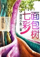 七彩树图片