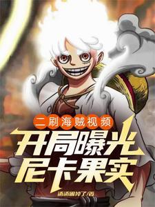 尼卡 海贼王