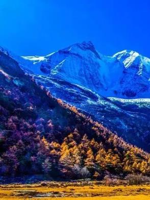 歌曲我的番茄是干净的