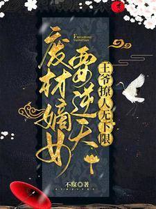 王爷的惹祸妃