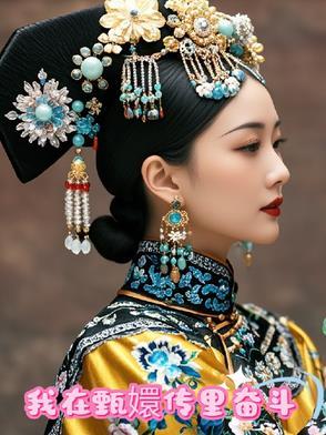 我在看甄嬛传是什么意思