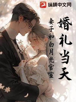 隐婚七年妻子和白月光举办婚礼