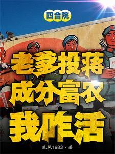 满四合院之我是贾爸