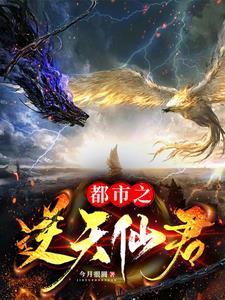 都市之逆天仙尊动画