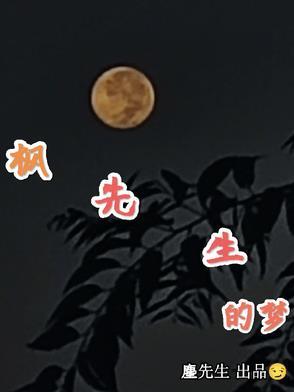枫山先生平生的一个故事