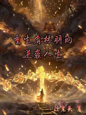 主人翁林羽的重生