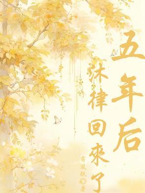 五年后一对龙凤胎回来