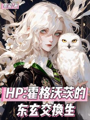 霍格沃兹的转校生免费阅读